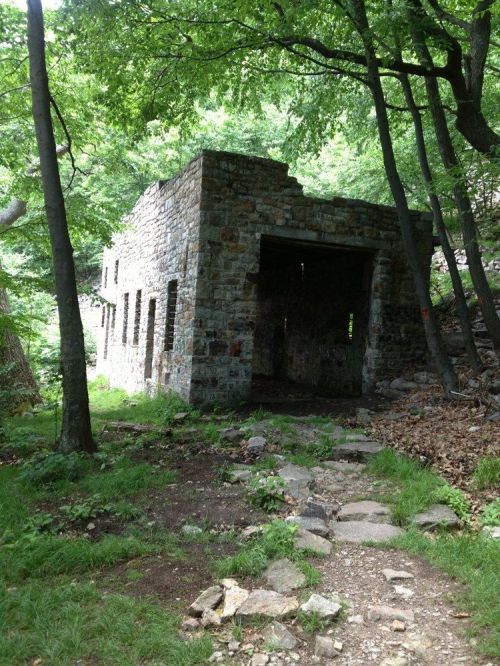 Abandoned stone building surrounded by trees and a rocky path in a lush green forest.