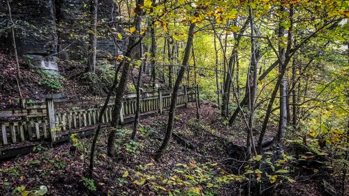 A serene forest path lined with trees and a wooden fence, surrounded by vibrant autumn foliage.