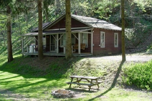 A rustic cabin surrounded by trees, with a porch, picnic table, and fire pit in a green, serene setting.