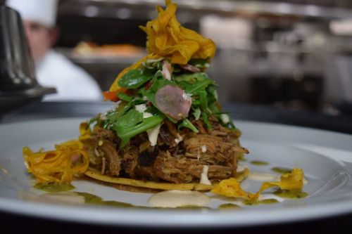 A gourmet dish featuring shredded meat on a tortilla, topped with greens, vegetables, and crispy plantain chips.