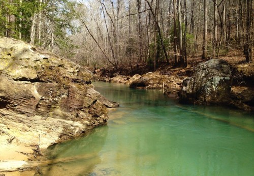 A serene river flows between rocky banks, surrounded by bare trees and a peaceful natural landscape.