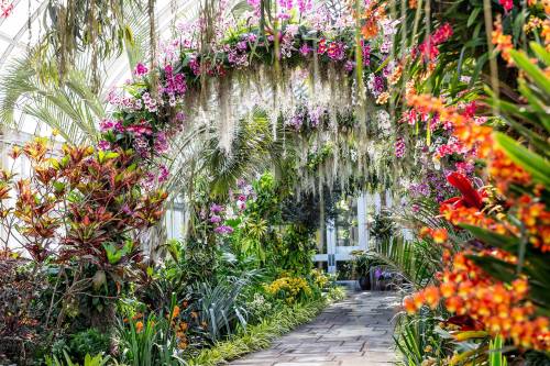 A vibrant greenhouse filled with colorful flowers, lush greenery, and hanging floral arrangements creating a serene pathway.