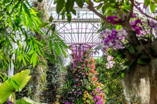 Lush greenhouse filled with vibrant flowers and greenery, featuring a colorful floral display and a unique structure above.