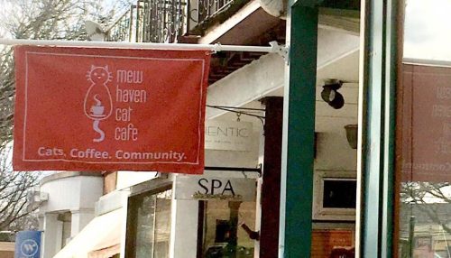 Sign for Mew Haven Cat Cafe, featuring a cat graphic and the tagline "Cats. Coffee. Community." outside a building.