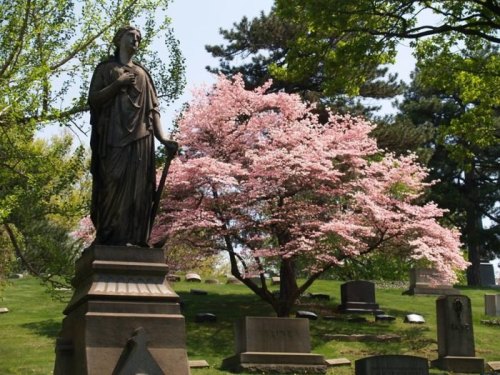 A statue stands in a cemetery, with a blooming pink tree and gravestones in the background under a clear sky.