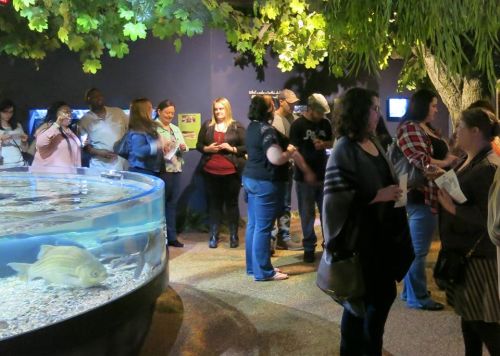 A group of people gathered near a large aquarium, with greenery overhead and a fish swimming in the water.