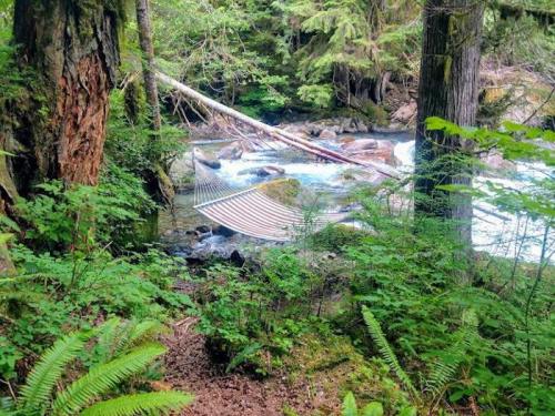 A hammock suspended between trees near a river, surrounded by lush greenery and rocky terrain.