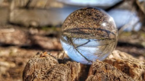 A glass orb resting on a wooden stump, reflecting trees and water in a serene outdoor setting.