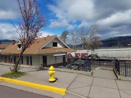 A train passes by a building with a sloped roof, near a yellow fire hydrant and blooming trees under a cloudy sky.