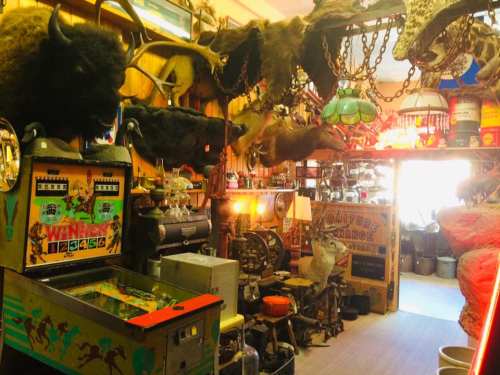 A vintage shop filled with taxidermy, antiques, and a colorful pinball machine in a rustic setting.