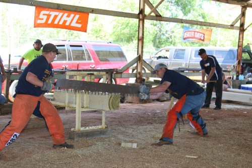 Two men using a handsaw to cut a log in a woodworking competition, with spectators and vehicles in the background.
