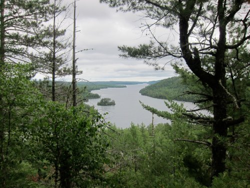A serene view of a river winding through lush green forests under a cloudy sky.