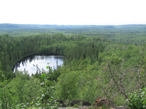 A lush green landscape with a serene lake surrounded by trees, viewed from a high vantage point.