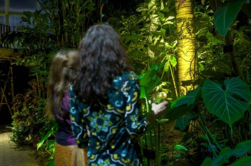 Two people stand in a lush indoor garden, surrounded by tropical plants, with one holding a drink.
