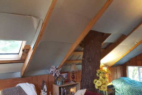 Interior of a cozy room with sloped ceiling beams, a tree trunk, and a skylight, decorated with flowers and books.