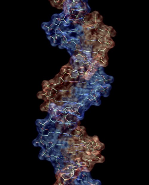 3D molecular structure of DNA, showcasing a double helix with colorful strands and interconnected bases against a black background.
