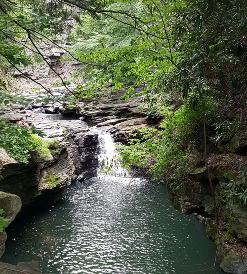 A serene waterfall cascades into a tranquil pool, surrounded by lush greenery and rocky cliffs.