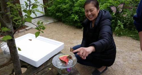 A woman smiles while pointing at butterflies in a bowl, surrounded by greenery in a garden setting.