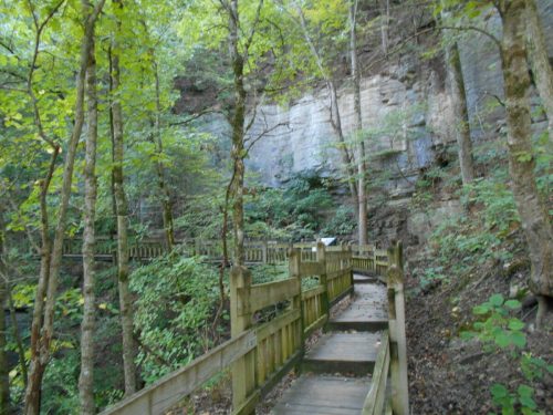 A wooden walkway winds through a lush forest with rocky cliffs and greenery surrounding it.