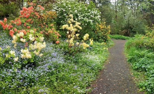A winding path through a vibrant garden filled with colorful flowers and lush greenery.