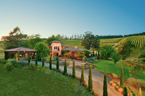 A scenic vineyard estate at sunset, featuring lush gardens, tall trees, and a charming house surrounded by grapevines.