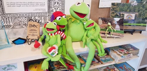 A collection of Kermit the Frog plush toys sitting together on a shelf, surrounded by books and colorful decor.