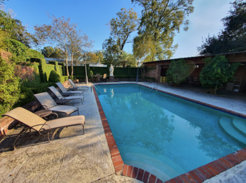 A serene backyard pool area with lounge chairs, surrounded by trees and greenery under a clear blue sky.