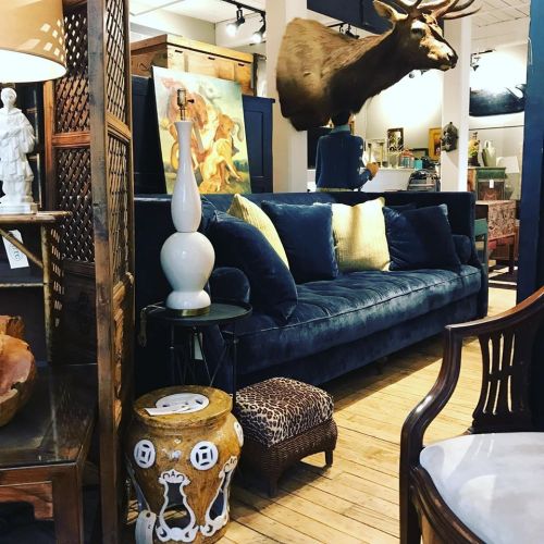 A cozy interior featuring a blue velvet sofa, decorative pillows, a unique side table, and a mounted deer head on the wall.