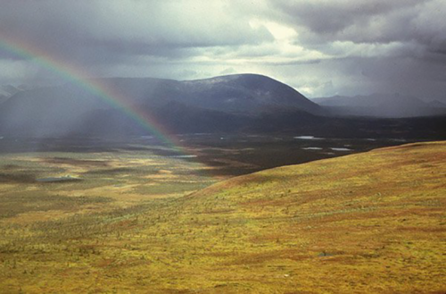 A scenic landscape featuring rolling hills, a rainbow, and a cloudy sky over a vast, grassy terrain.