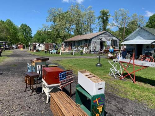 A sunny outdoor market with various vintage items and furniture displayed along a gravel path.