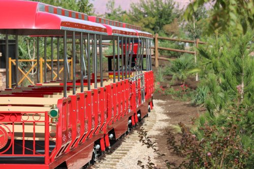 A red train on tracks surrounded by greenery and flowers in a park setting.