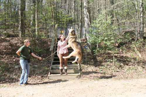 A woman holds a leash as a dog jumps excitedly near a set of stairs in a wooded area. Another woman stands nearby.