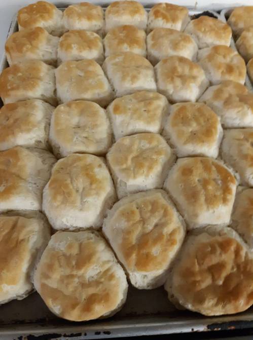 A tray of freshly baked golden-brown biscuits arranged in neat rows.