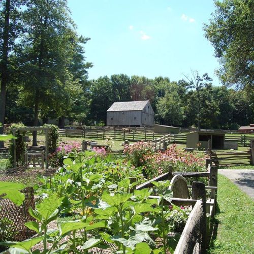 A sunny farm scene with a barn in the background, surrounded by green fields and colorful flowers.