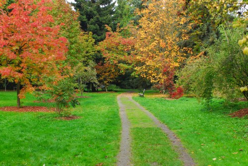A serene park path lined with vibrant autumn trees in shades of red, orange, and green, leading to a bench.