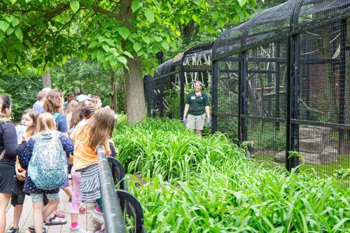 A group of visitors watches a zookeeper near an animal enclosure surrounded by lush greenery.