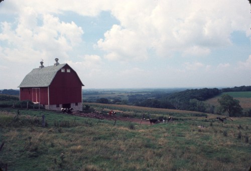 A red barn sits on a hillside, surrounded by green fields and a cloudy sky, with cows grazing nearby.