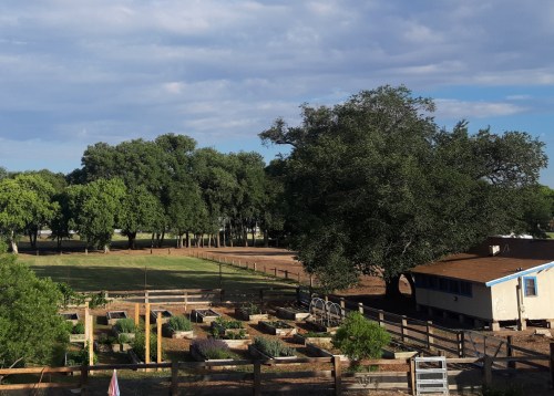 A view of a garden with raised beds, a small building, and trees under a partly cloudy sky.