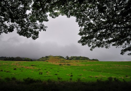 A lush green landscape with a hill in the background, partially obscured by clouds and framed by tree branches.