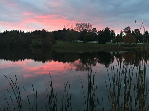 A serene lake at sunset, reflecting pink and purple hues in the water, surrounded by trees and tall grasses.