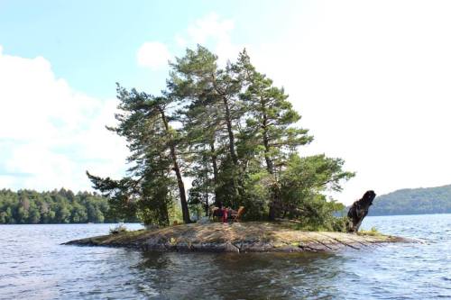 A small island with trees and two red chairs, surrounded by calm water under a bright blue sky.