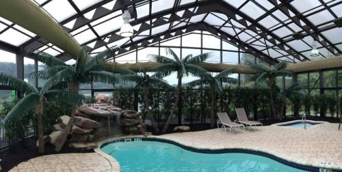 Indoor pool area with palm trees, a waterfall feature, and lounge chairs under a glass roof.