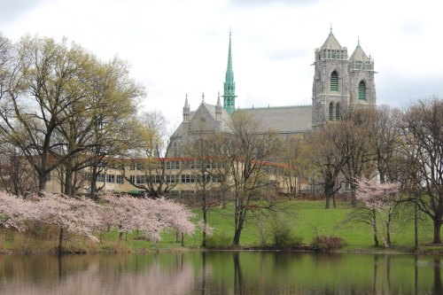 A serene view of a church with spires, surrounded by trees and blooming cherry blossoms, reflected in a calm lake.