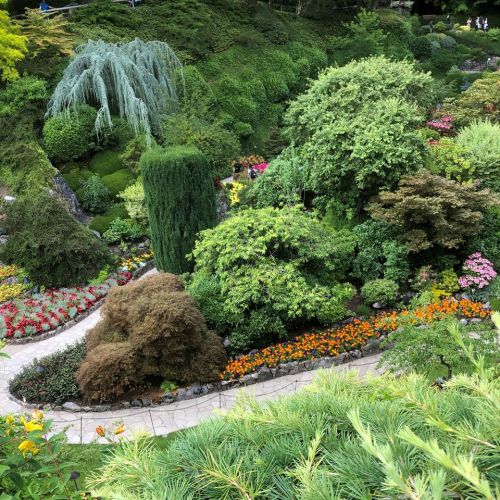 Lush garden with diverse greenery, colorful flowers, and winding pathways, creating a serene and vibrant landscape.