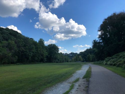 A scenic view of a grassy field with a path, surrounded by trees and a blue sky with fluffy clouds.