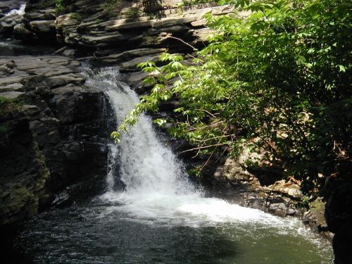 A serene waterfall cascading into a calm pool, surrounded by lush greenery and rocky terrain.