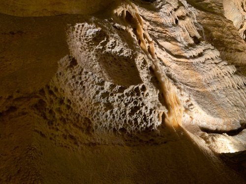 Close-up of a textured cave wall, illuminated to highlight its unique formations and shadows.