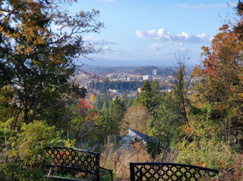 A scenic view of a city surrounded by trees and autumn foliage under a clear blue sky. Two benches in the foreground.