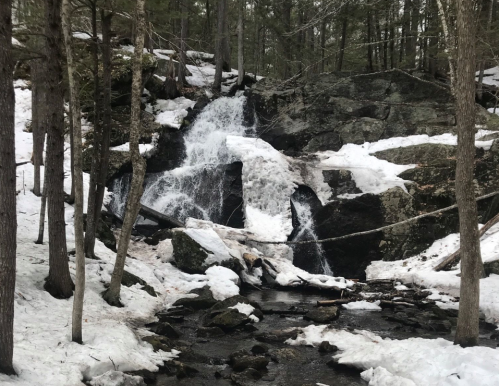 A snowy landscape featuring a waterfall cascading over rocks, surrounded by trees in a forest setting.
