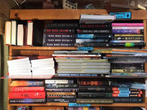 A wooden bookshelf filled with various books, including titles like "Red Skies Falling" and "Guinness World Records 2020."